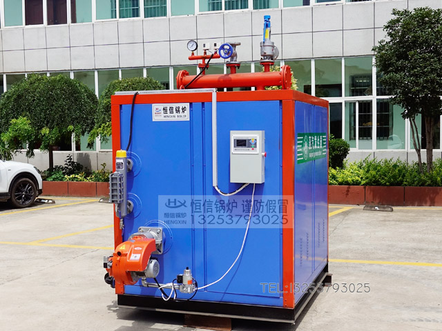 FTSG燃气蒸汽发生器安装调试正常